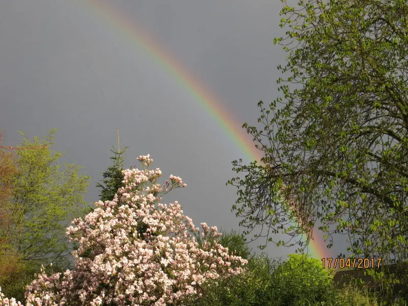 Andachtsbild von Hippo, Regenbogenland
