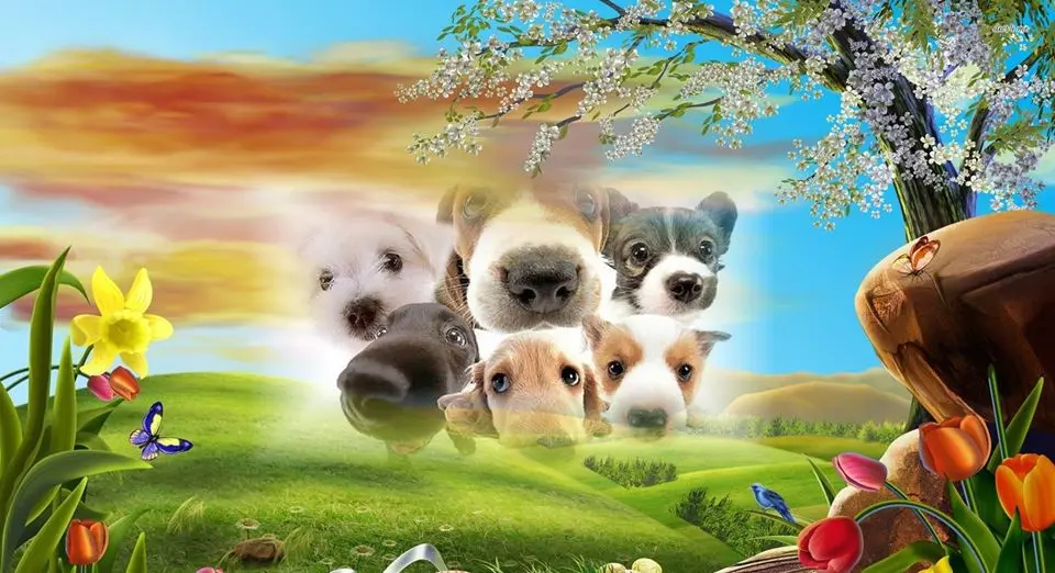 Andachtsbild von Michaela mit Nicko und Ariane ganz tief im ❤