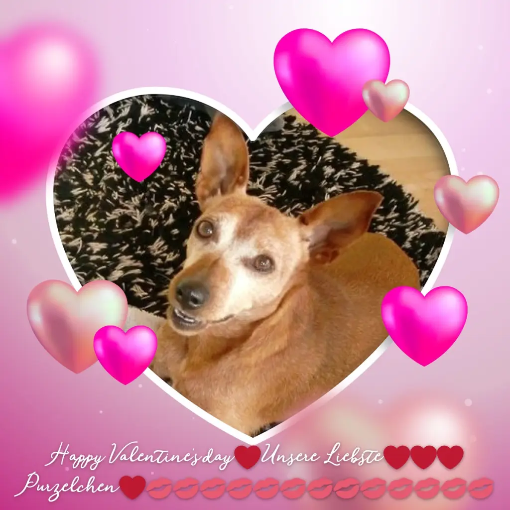 Andachtsbild von ❤️❤️❤️