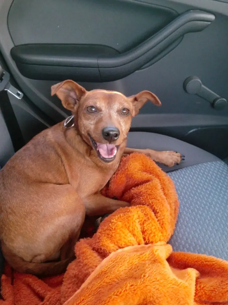 Andachtsbild von Jutta, Axel, Oscarchen und Rocky