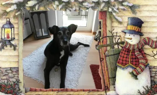 Andachtsbild von Unbekannt