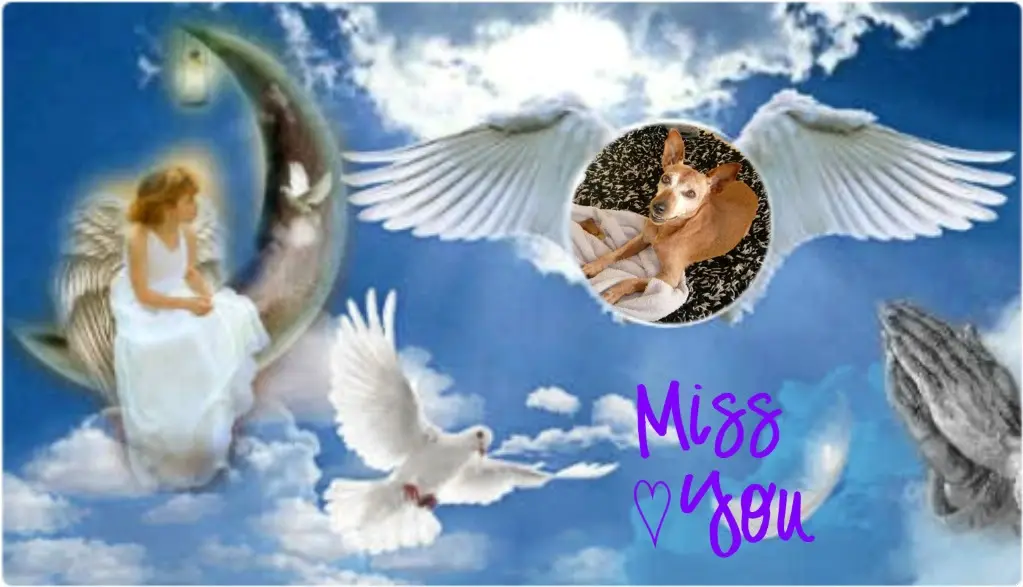 Andachtsbild von ❤️❤️❤️