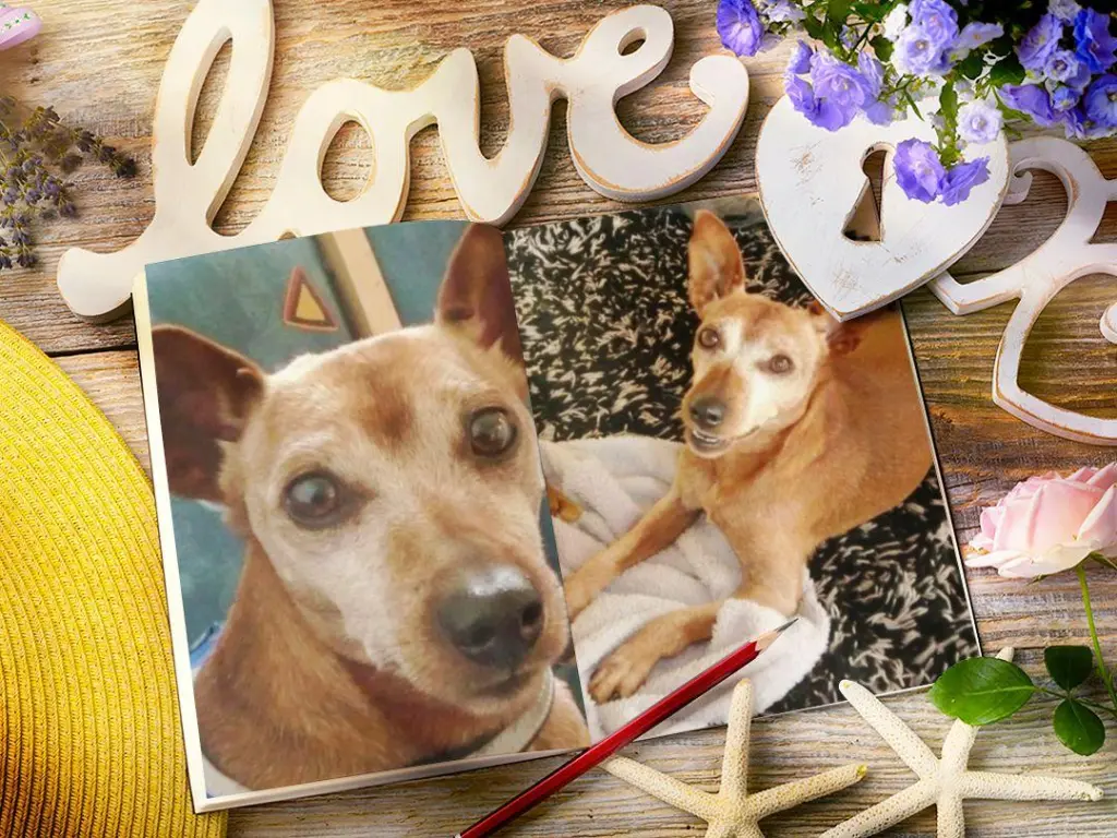 Andachtsbild von Ellen mit Lina ♥️