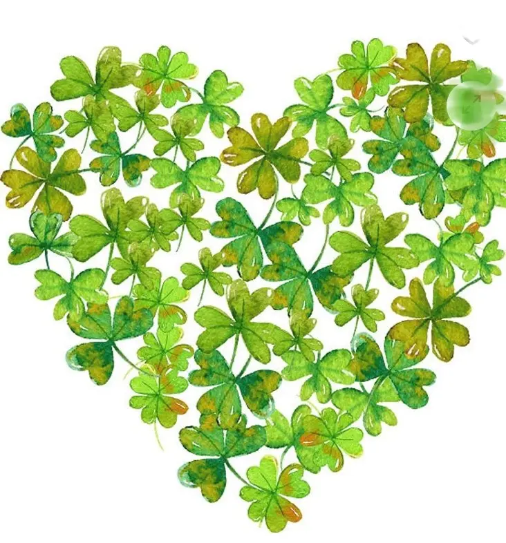 Andachtsbild von Eine Purzelrose für Purzel