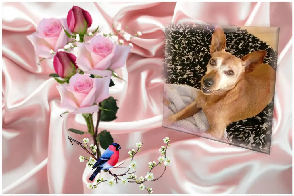 Andachtsbild von ❤️❤️❤️