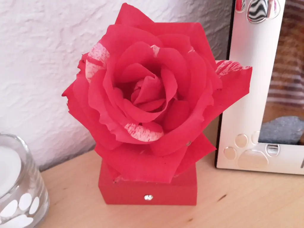 Andachtsbild von deiner Jutta 