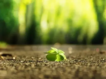 Andachtsbild von Herzen ❤❤