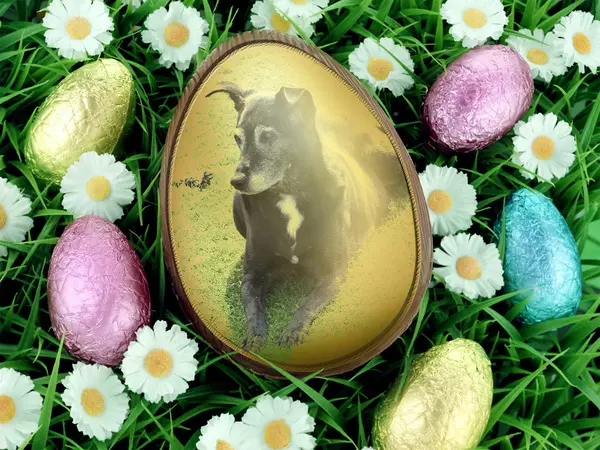 Andachtsbild von Unbekannt