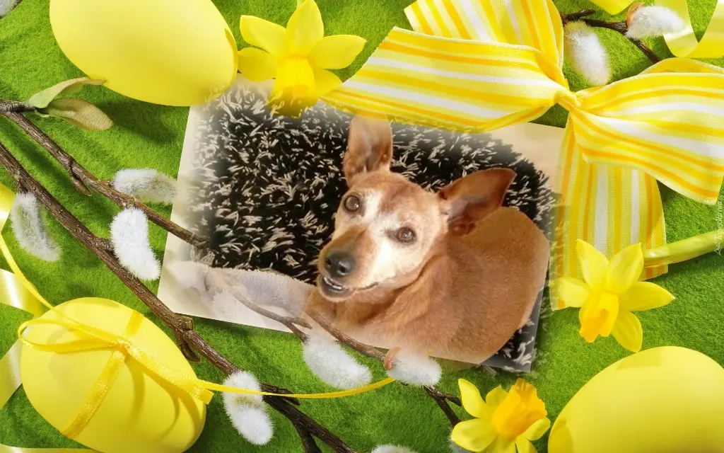 Andachtsbild von ❤️❤️❤️