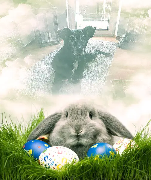 Andachtsbild von Unbekannt