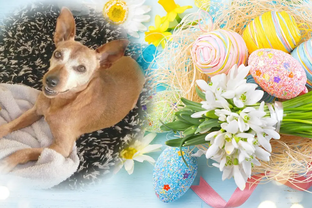 Andachtsbild von ❤️❤️❤️