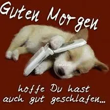 Andachtsbild von Brigitte mit Nelly, Benny und Axel im Herzen