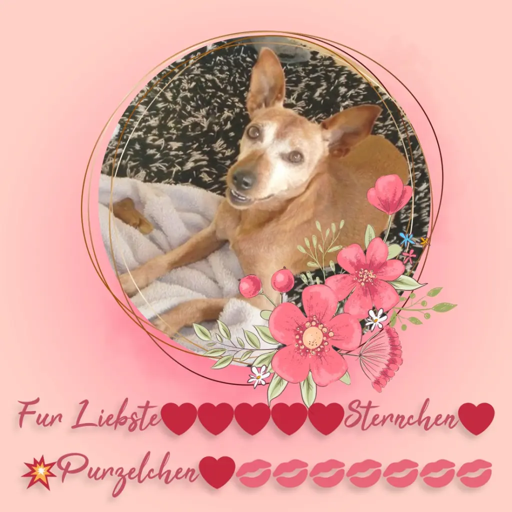 Andachtsbild von ❤️❤️❤️