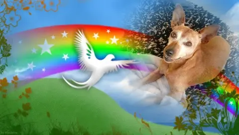 Andachtsbild von ❤️❤️❤️