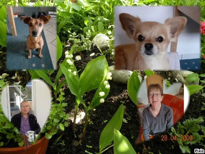 Andachtsbild von Jutta, Axel, Oscar und Rocky 