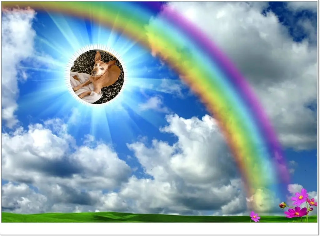 Andachtsbild von ❤️❤️❤️