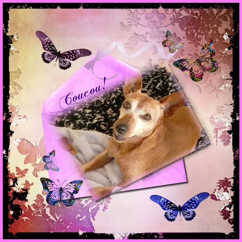 Andachtsbild von ❤️❤️❤️