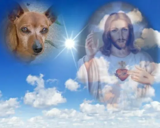 Andachtsbild von ❤️❤️❤️