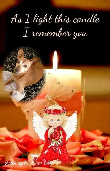 Andachtsbild von ❤️❤️❤️