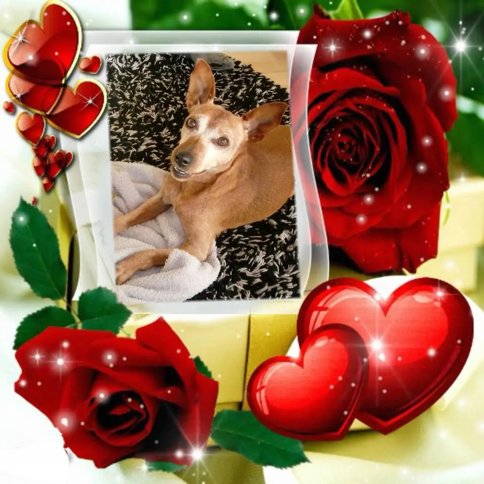 Andachtsbild von ❤️❤️❤️