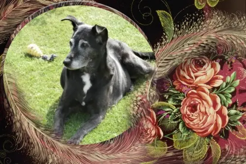 Andachtsbild von Unbekannt