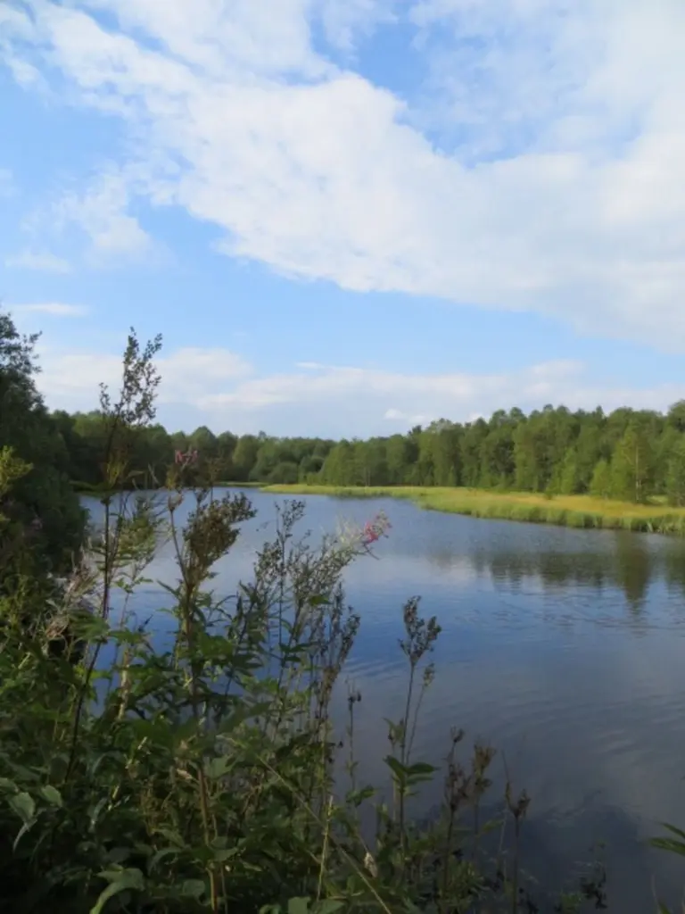 Andachtsbild von Merlin, Regenbogenland