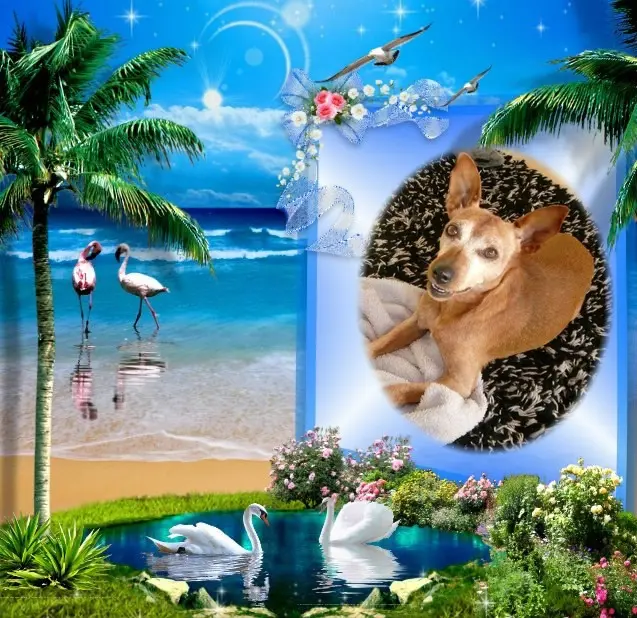 Andachtsbild von ❤️❤️❤️