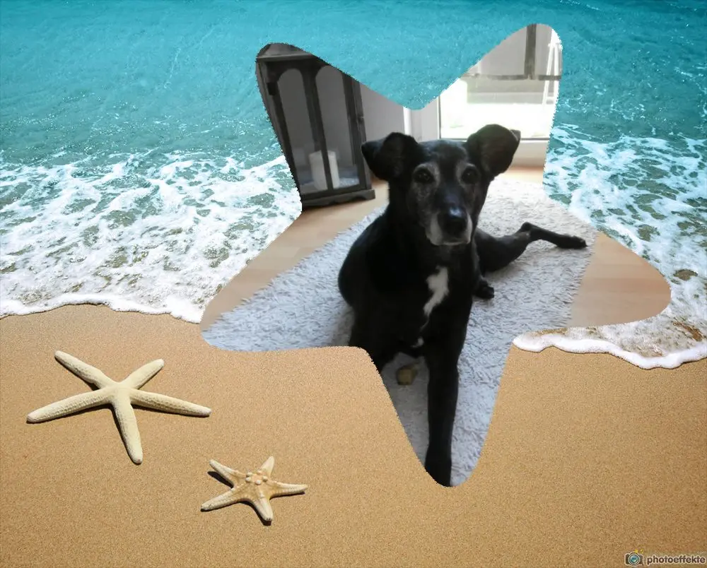 Andachtsbild von Unbekannt