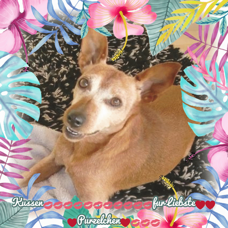 Andachtsbild von ❤️❤️❤️