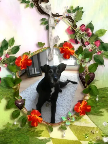 Andachtsbild von Unbekannt