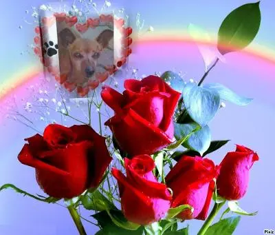 Andachtsbild von Jutta, Axel, Oscarchen und Rocky