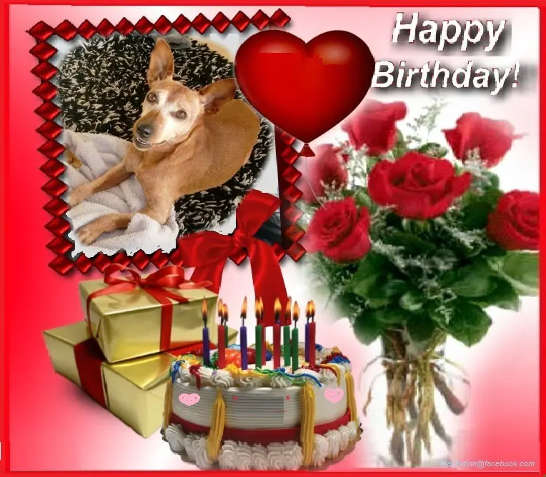 Andachtsbild von 17. Geburtstag❤️❤️❤️❤️❤️❤️❤️❤️❤️❤️❤️❤️❤️❤️❤️❤️❤️