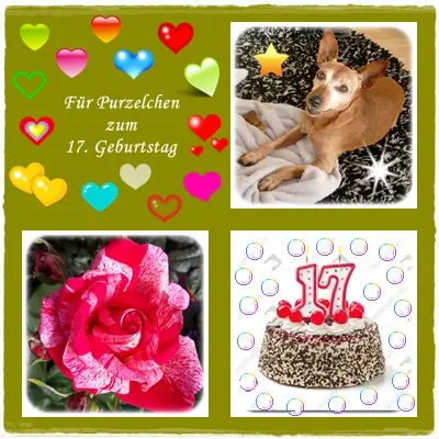 Andachtsbild von Ilse mit ihren geliebten Sternlein im Herzen