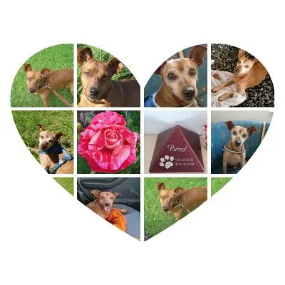 Andachtsbild von Jutta, Axel, Oscarchen und Rocky