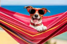 Andachtsbild von Jutta, Axel, Oscarchen und Rocky