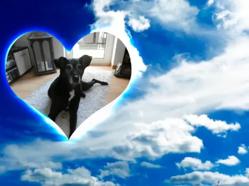 Andachtsbild von Unbekannt