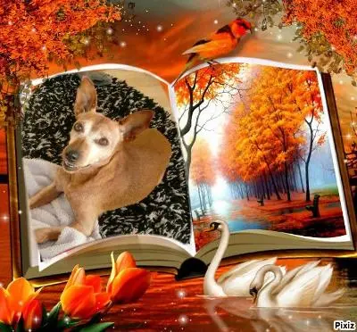 Andachtsbild von Jutta, Axel, Oscarchen und Rocky