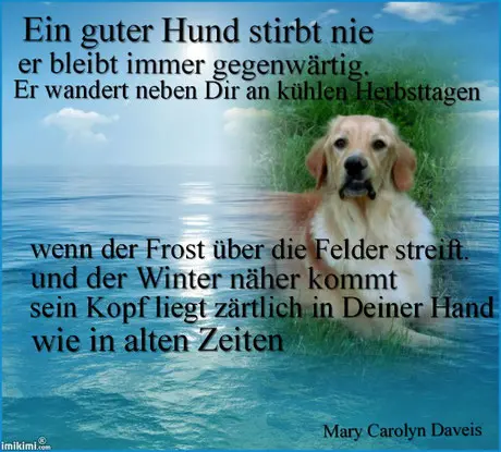 Andachtsbild von Tanja mit Timmy im Herzen 