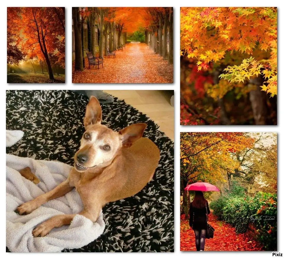 Andachtsbild von Unbekannt