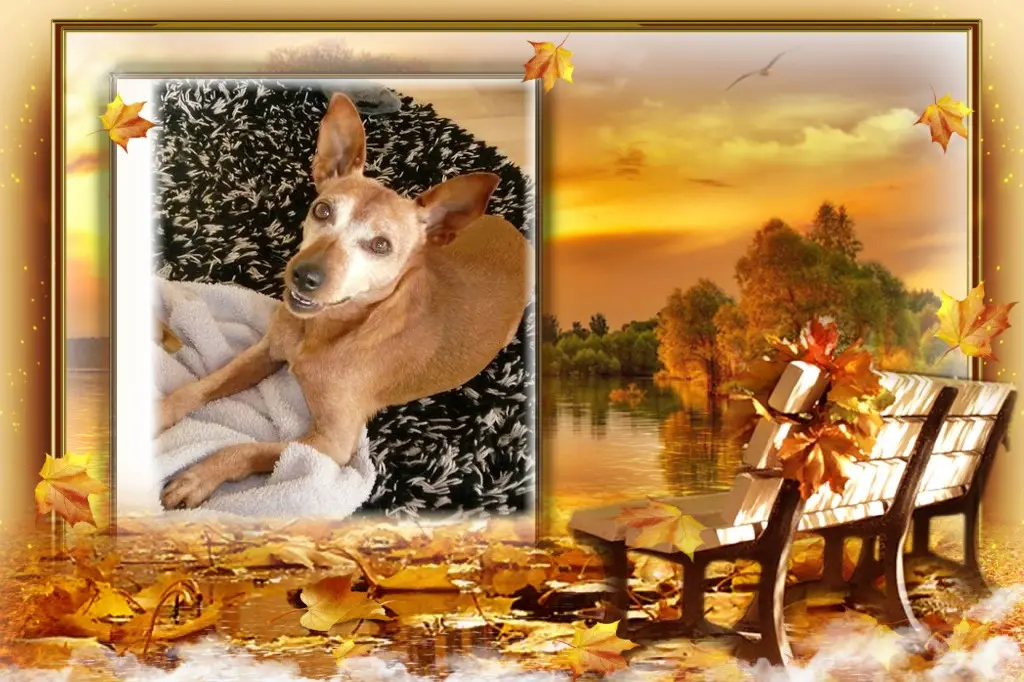 Andachtsbild von ❤️❤️❤️