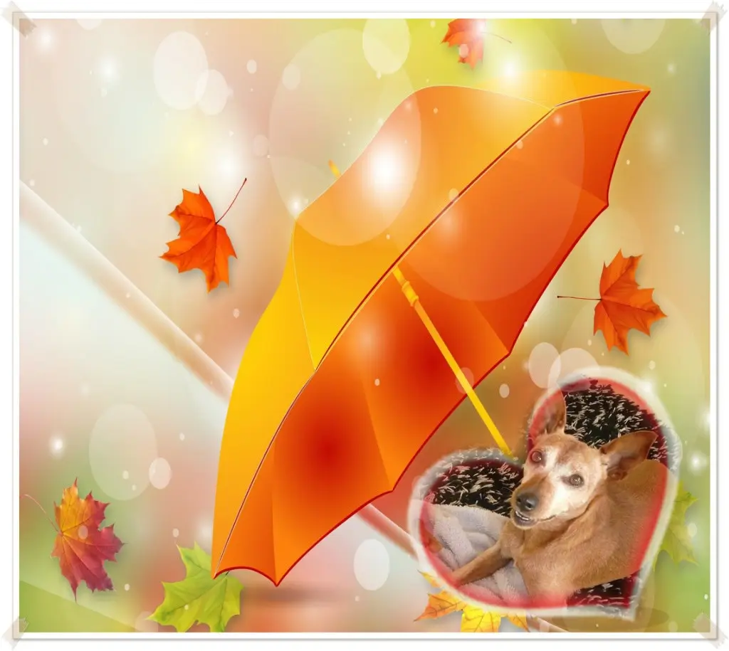 Andachtsbild von ❤️❤️❤️