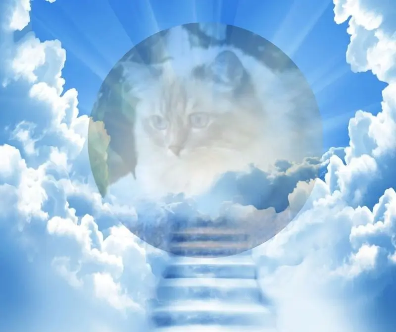 Andachtsbild von Merlin, Regenbogenland