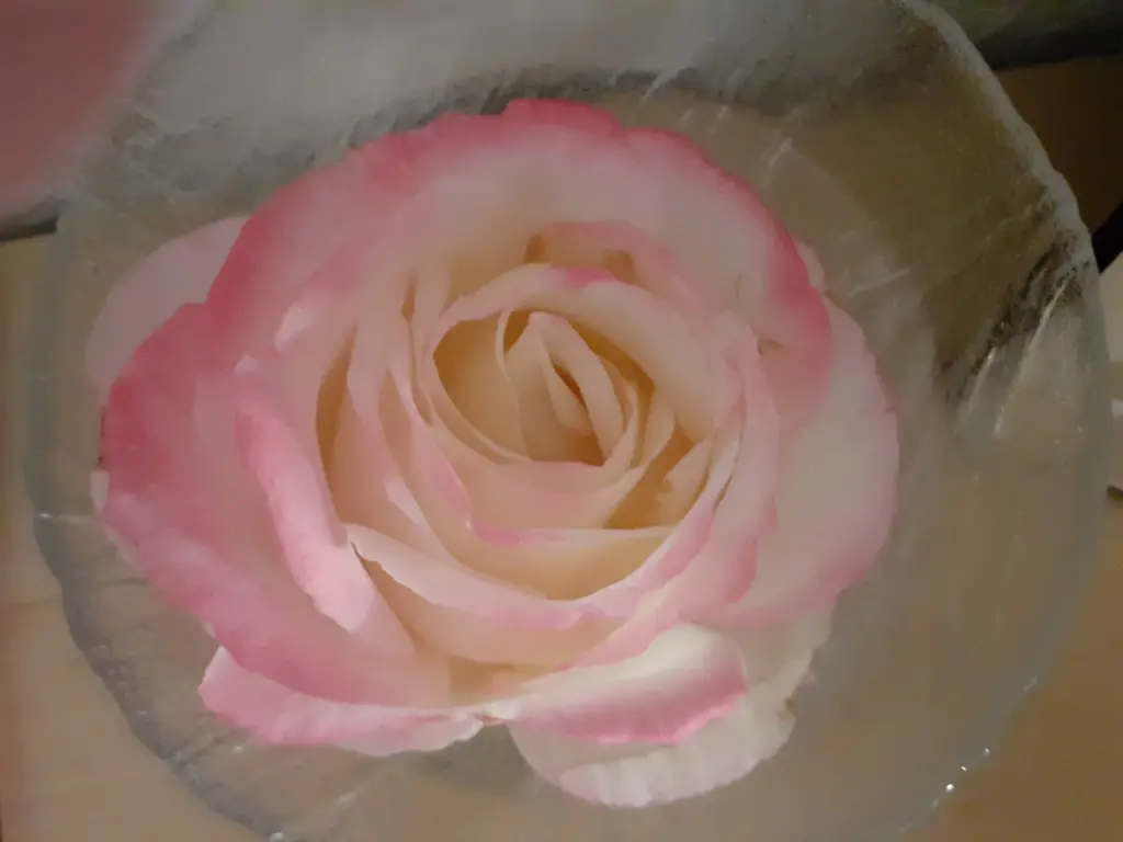 Andachtsbild von Jutta, Axel, Oscar und Rocky 