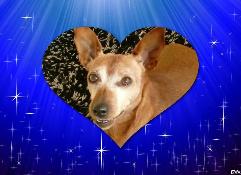 Andachtsbild von Jutta, Axel, Oscar und Rocky 