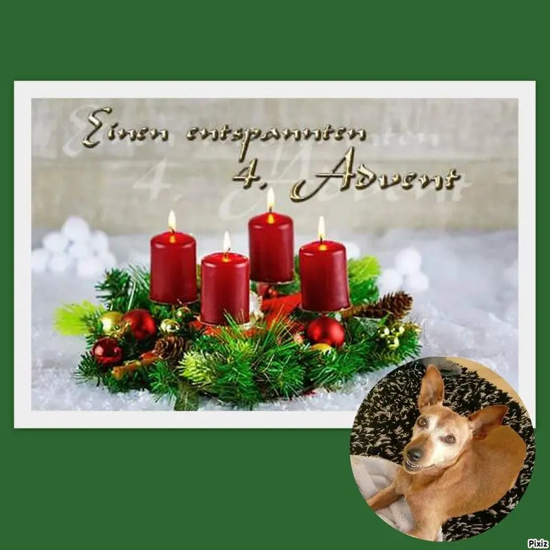 Andachtsbild von Jutta, Axel, Oscar und Rocky 