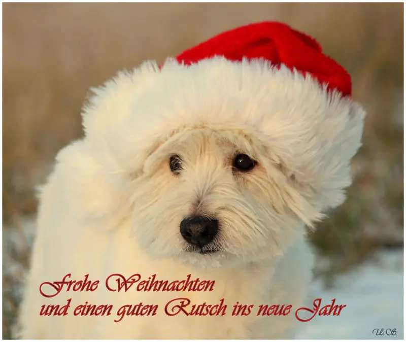 Andachtsbild von Tanja mit Timmy im Herzen 