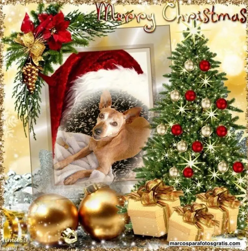 Andachtsbild von ❤️WEIHNACHTEN❤️❤️❤️