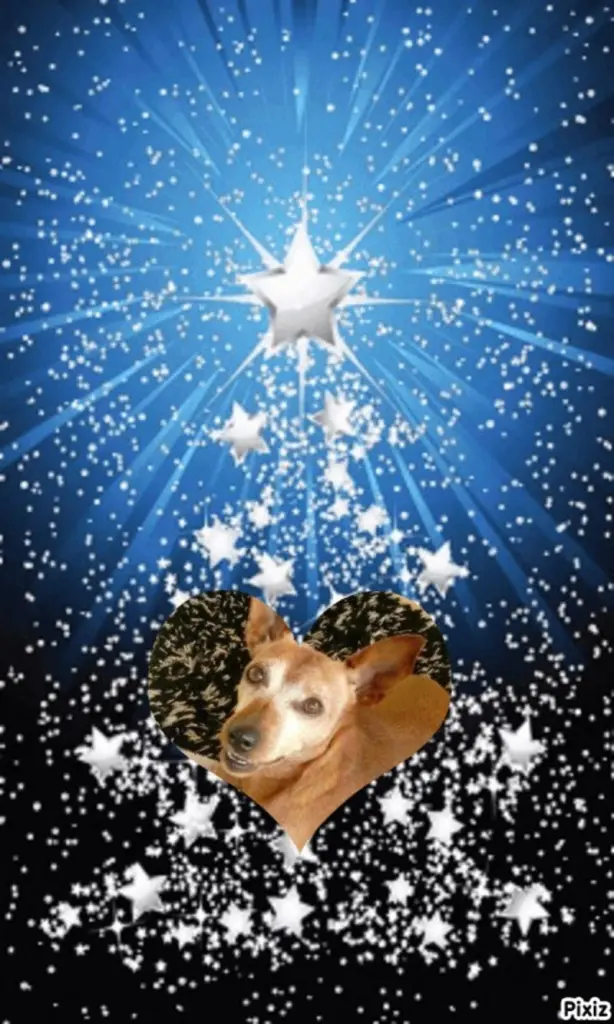 Andachtsbild von Jutta, Axel, Oscar und Rocky 