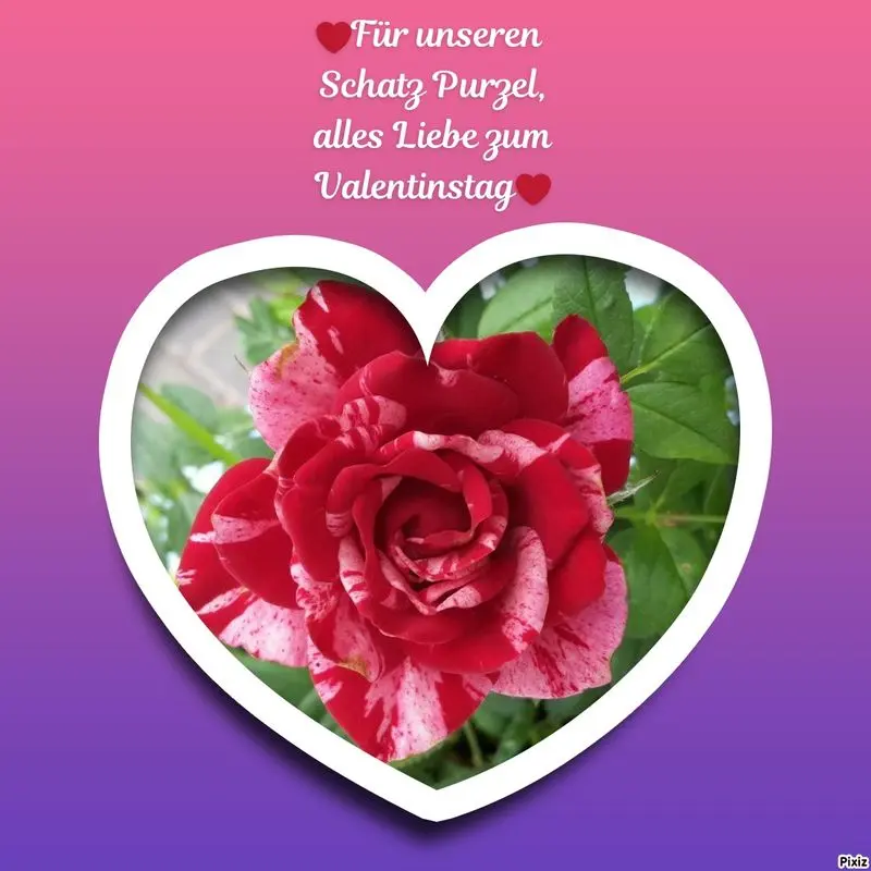 Andachtsbild von Jutta, Axel, Oscar und Rocky 