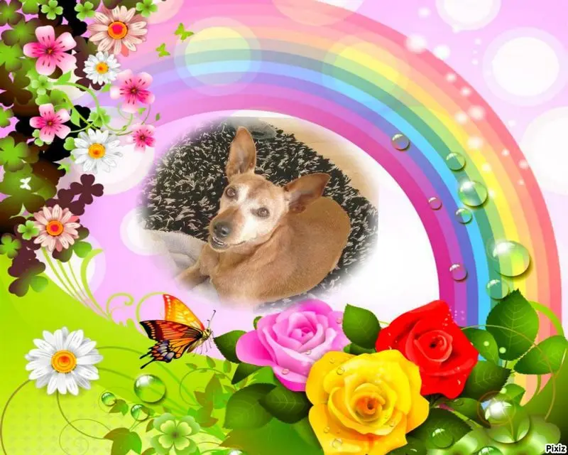 Andachtsbild von Jutta, Axel, Oscar und Rocky